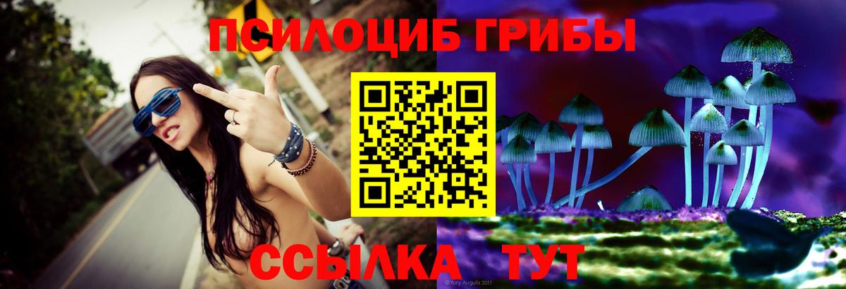 Железноводск  Псилоцибиновые грибы Magic Shrooms  Псилоцибиновые грибы ЛСД  Вход с VPN 